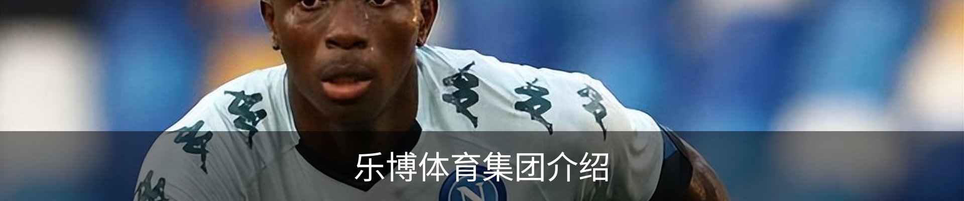 乐博体育集团介绍