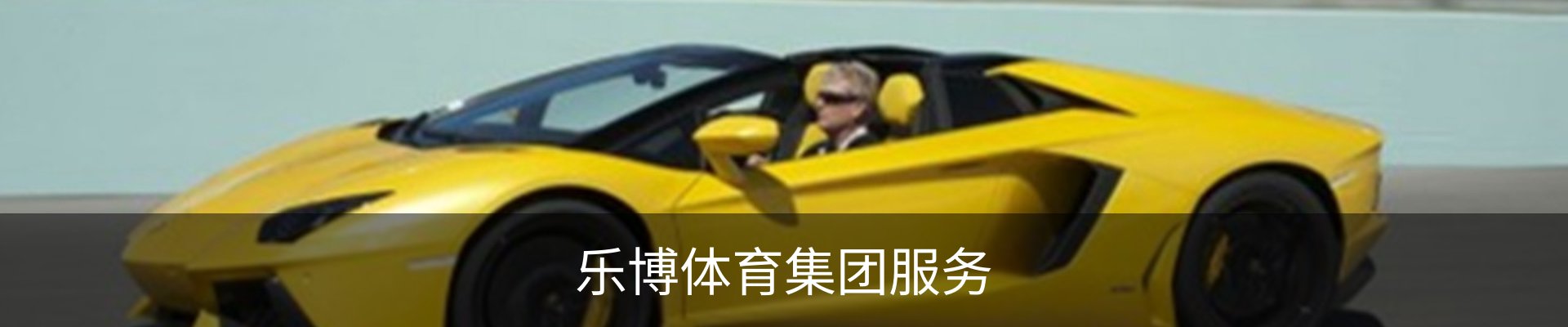 乐博体育集团服务