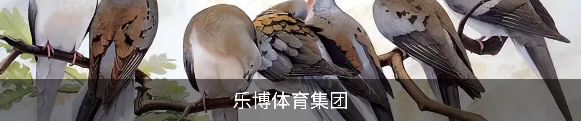 乐博体育集团